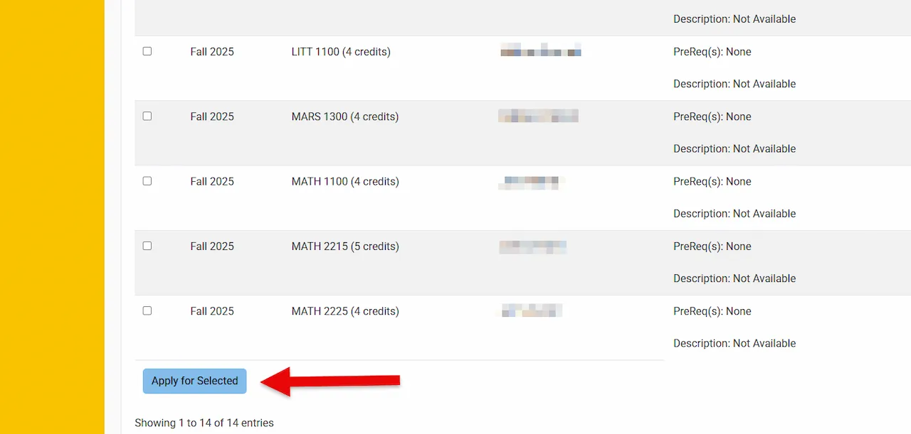 Screenshot of the “Apply for Selected” button.