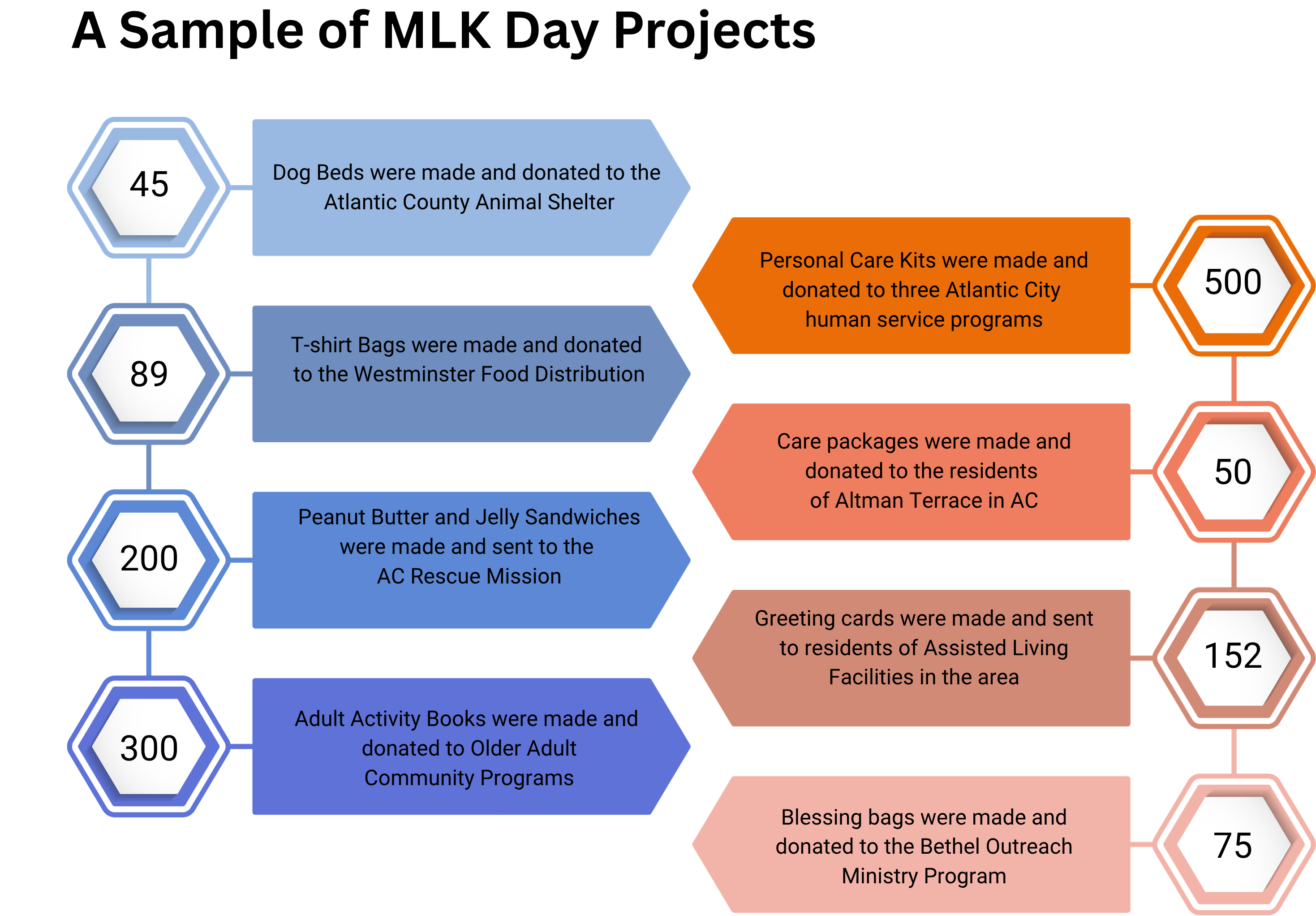 Sample of Projects from MLK Day