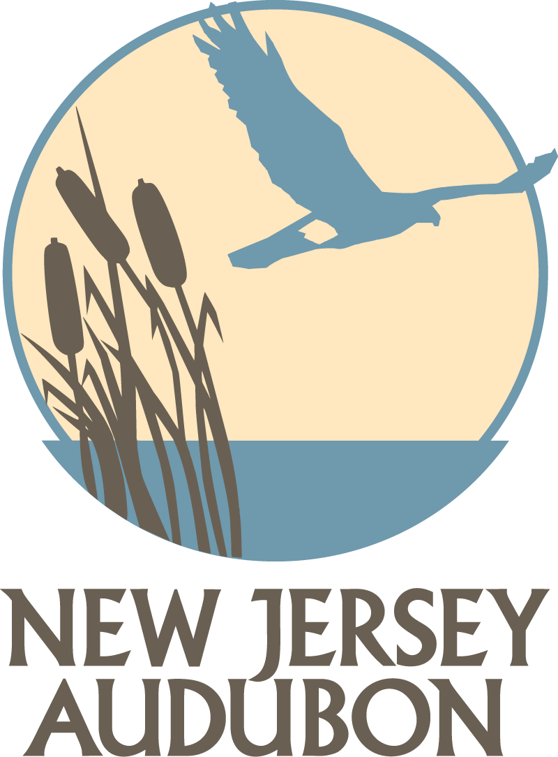 NJ Audubon Logo