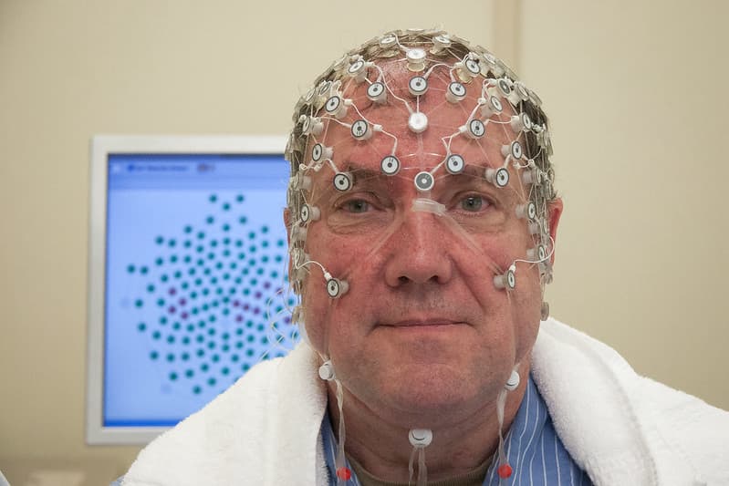 Openness to Experience and Successful Aging