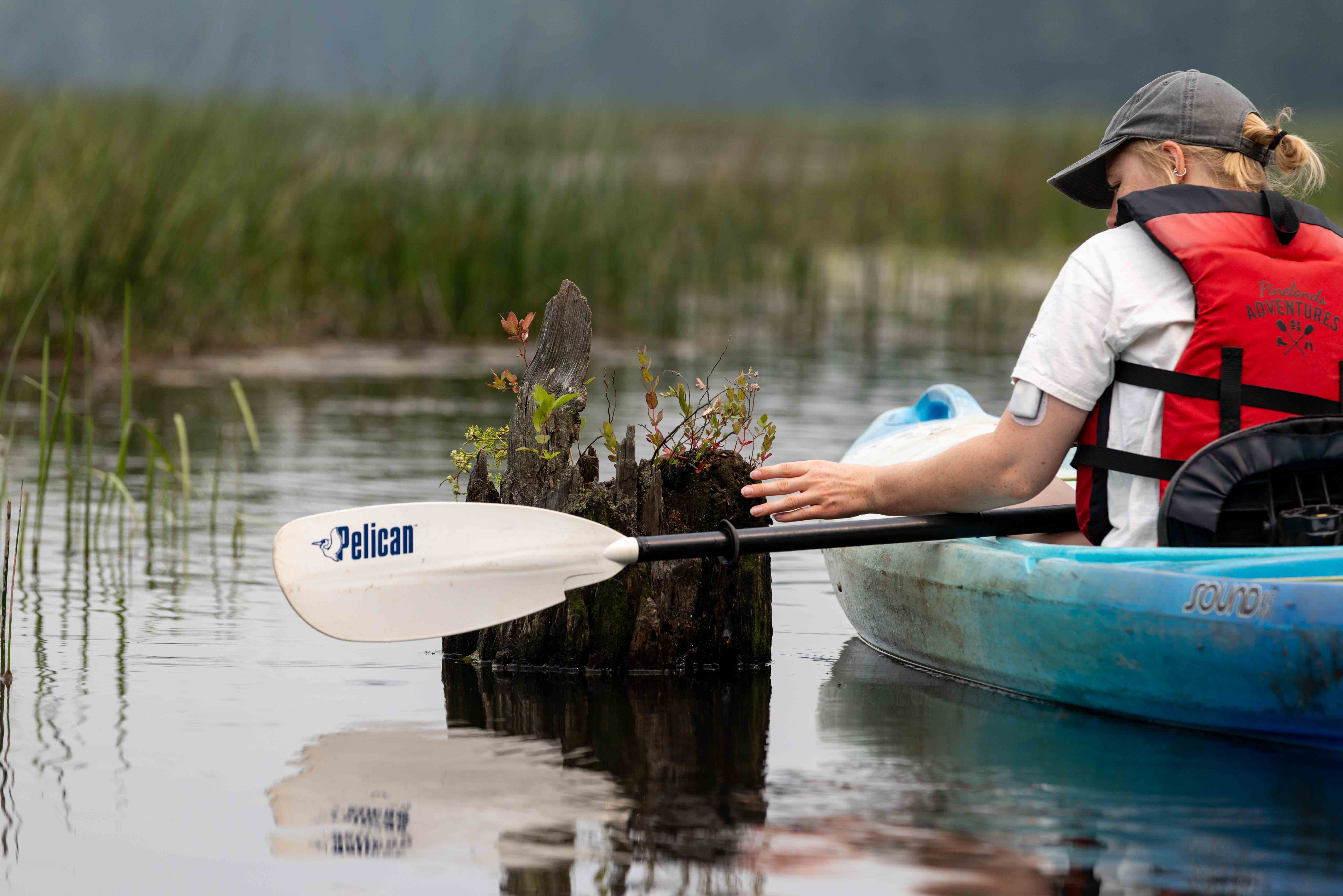 kayaker kayaker