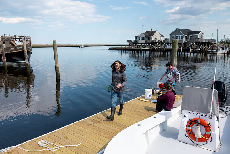 fish survey