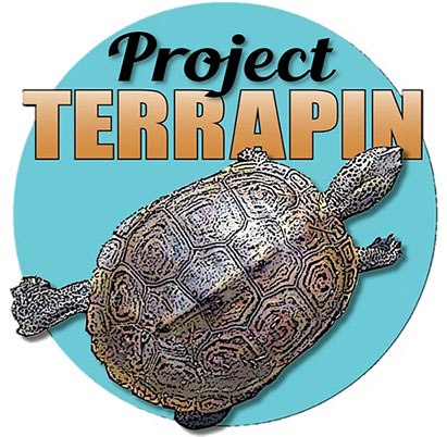 Project Terrapin logo