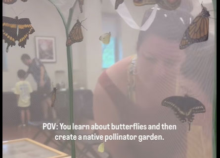 Woman and child looking at butterfiles