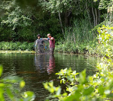 Students studyng temperature in Lake Fred and impacts on reptiles