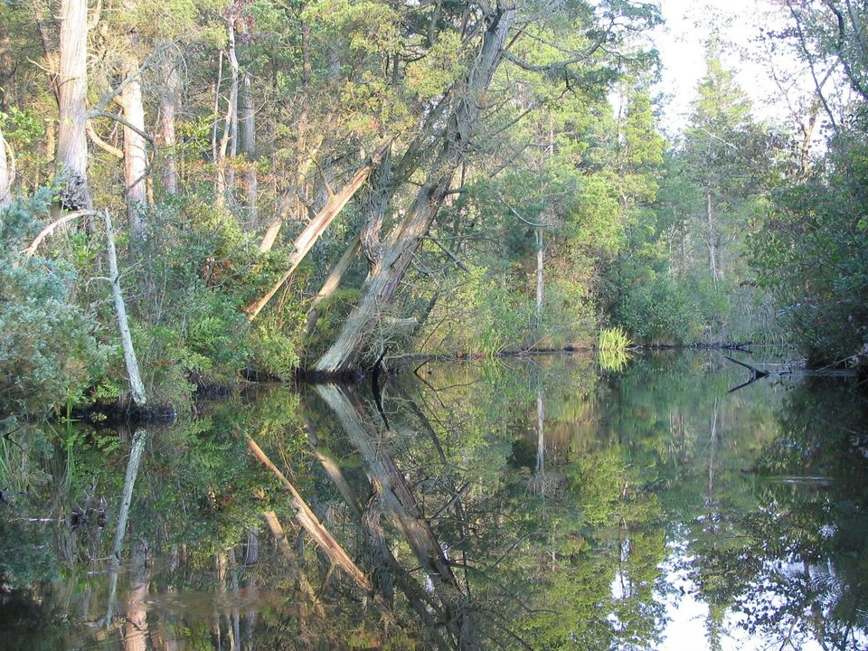 Image of the Mullica River