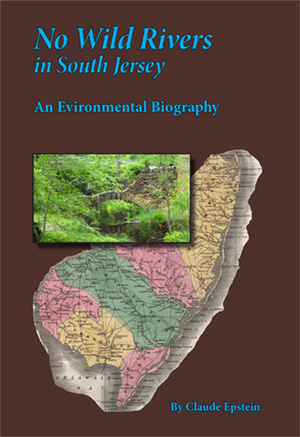 Cover of No Wild Rivers