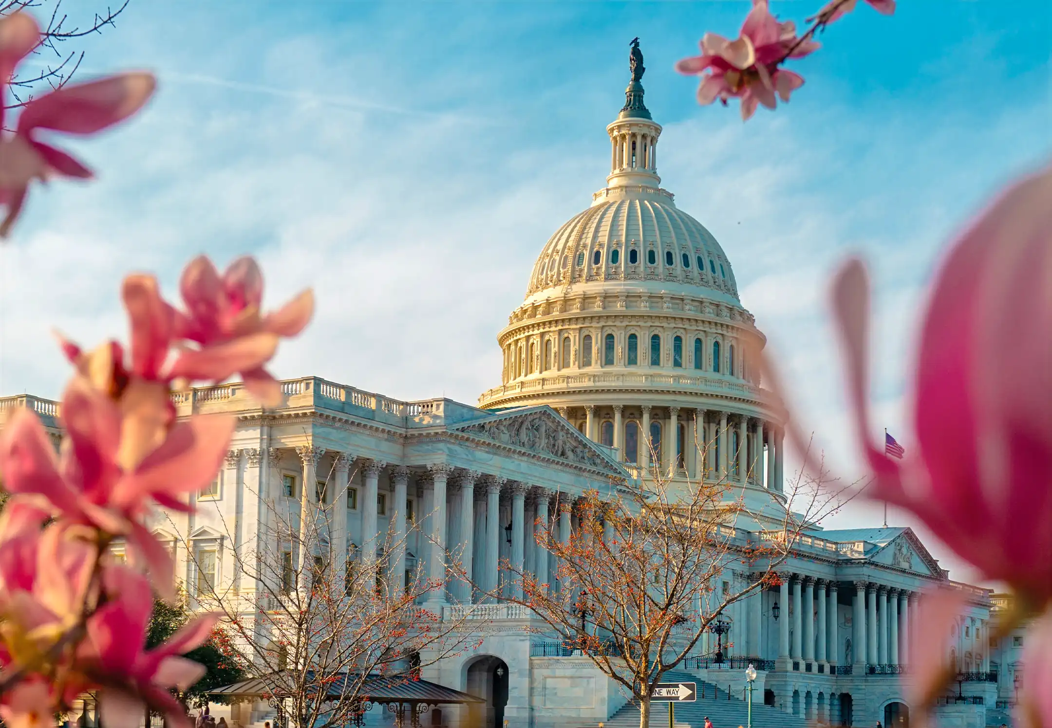 The United States Capitol