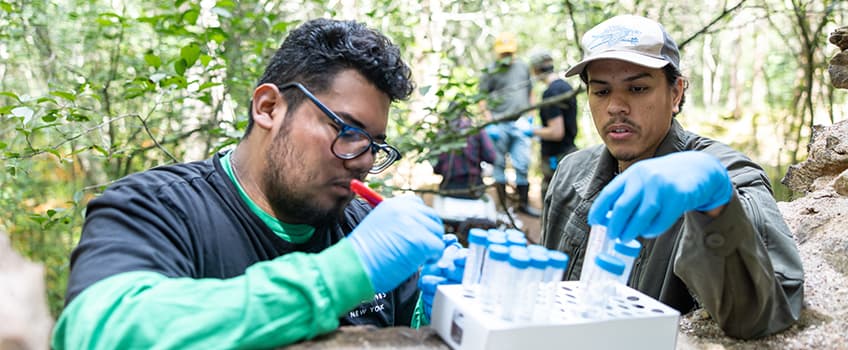 students working in bog on Pine Barrens