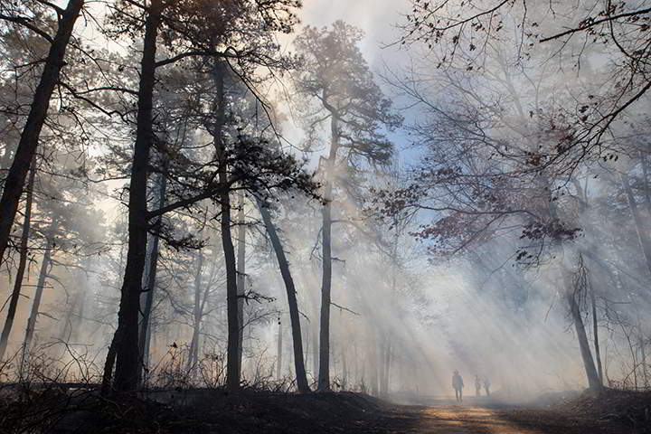 Sunlight pierces through smoke from a controlled burn. George Zimmerman’s students joined the New Jersey Forest Service on the university's 10-year forest management plan