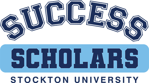 Success Scholars logo